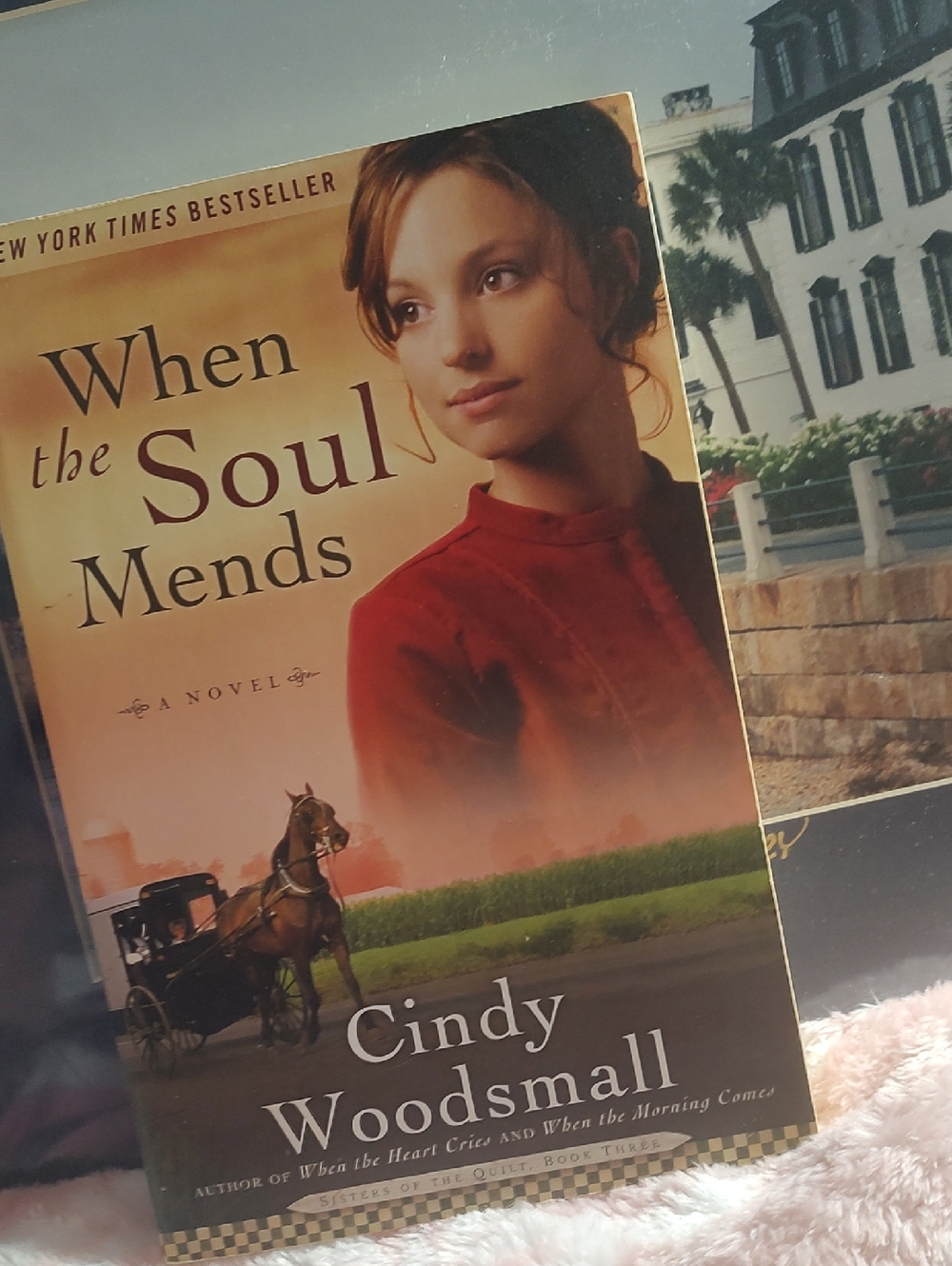 When the Soul Mends by Cindy Woodsmall - 📚1996